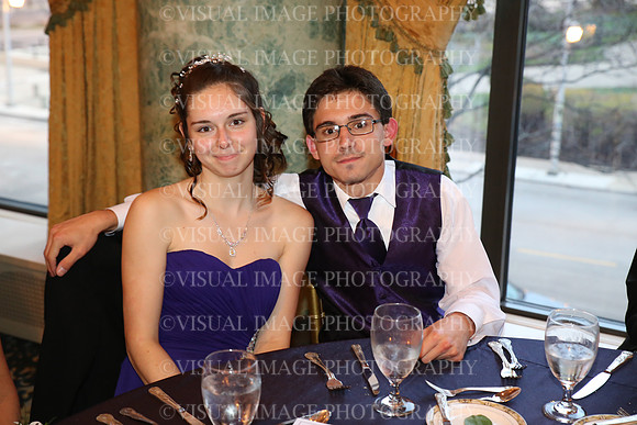 HINS_0041