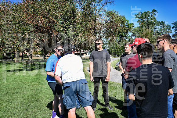 sps_1393_1047434217