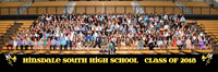 hinsdale_south