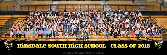 hinsdale_south