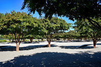 sps_1016_1047509622