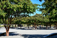 sps_1017_1047509623