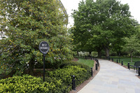 SSHF_0528
