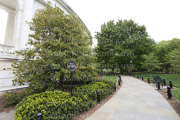 SSHF_0529