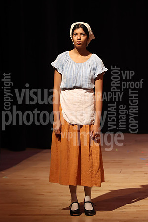 sps_0043_1011379511