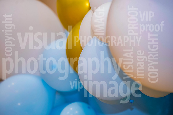 sps_0015_1033597616