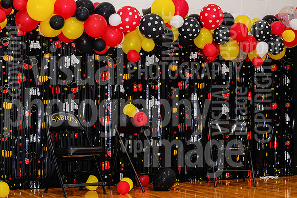 sps_0003_1033597595