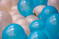 sps_0006_1033597601