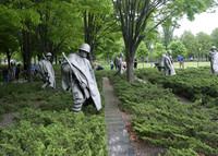 SSHF_0739