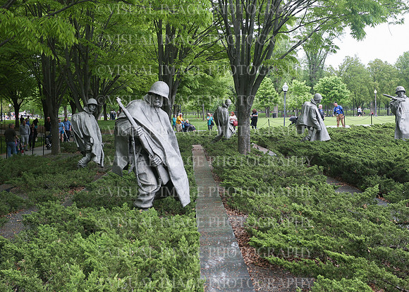 SSHF_0739