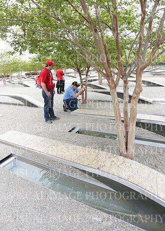 SSHF_1008