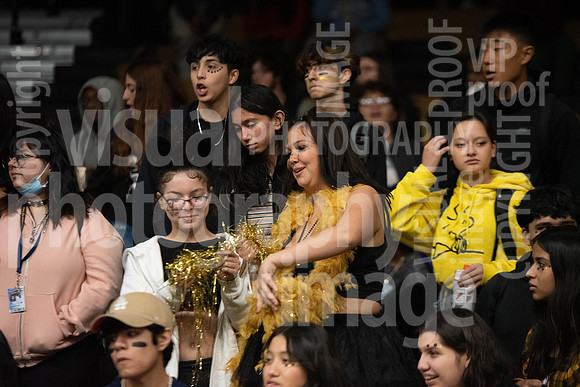 sps_0083_1011144695
