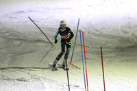 sps_0004_1008223196