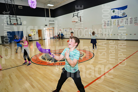 sps_0020_1036976589