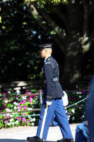 sps_0786_1033943222