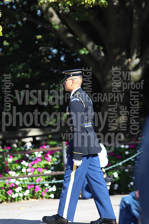 sps_0786_1033943222
