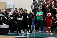 Allied Cheer