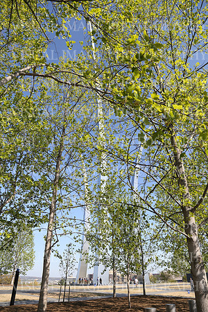 SSHF_BRAVO_0710