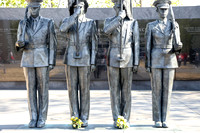 SSHF_BRAVO_0687