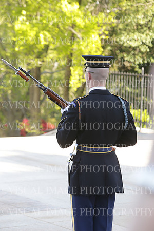 SSHF_BRAVO_0740