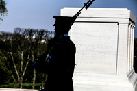 SSHF_BRAVO_0716
