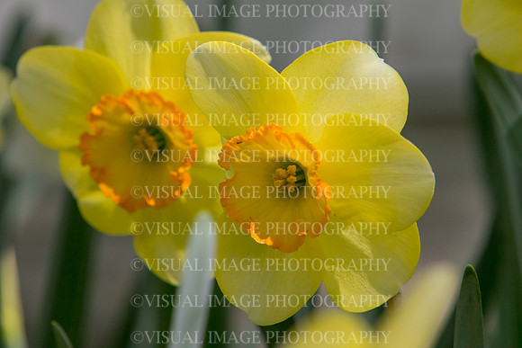 SSHFCJ_0328