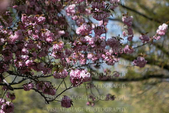 SSHFCJ_0308