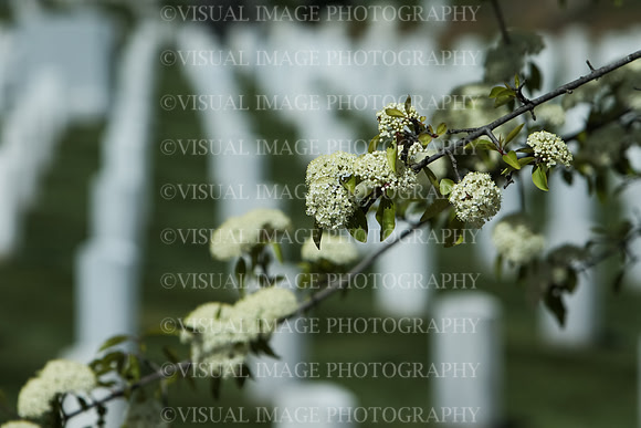 SSHFCJ_0297