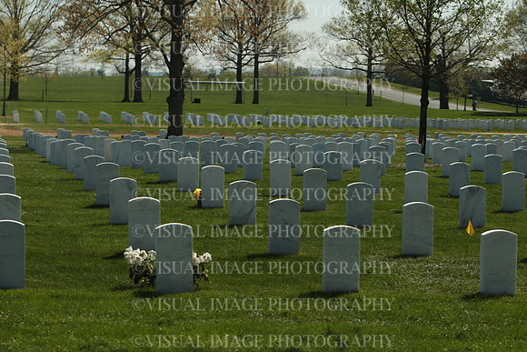 SSHFCJ_0293