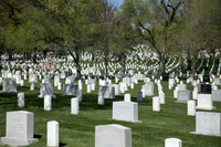 SSHFCJ_0292