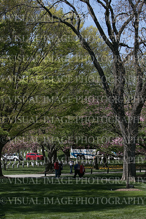 SSHFCJ_0332