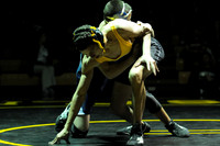 Wrestling