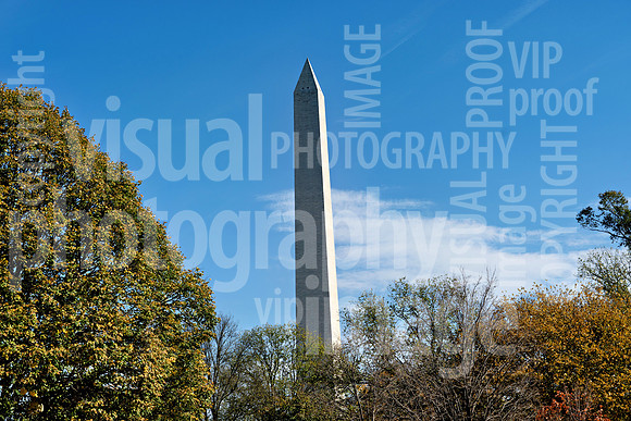 sps_0273_1047831369