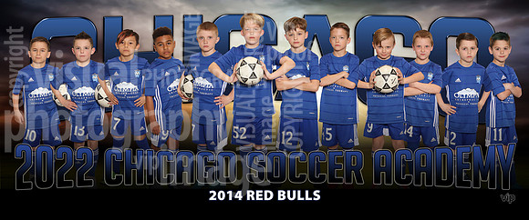 red_bulls