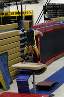 HINS_010