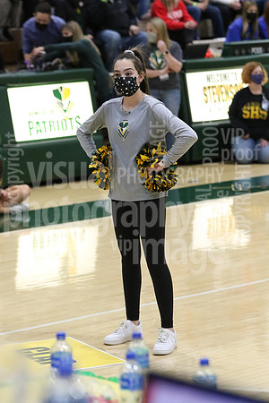 sps_0013_1008086748