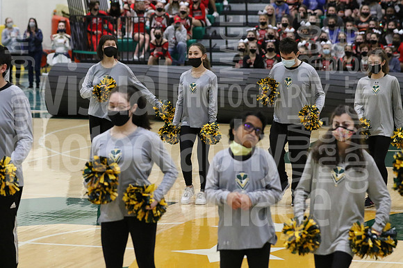 sps_0018_1008086753