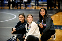 sps_0013_1034593108
