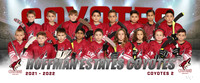 coyotes2