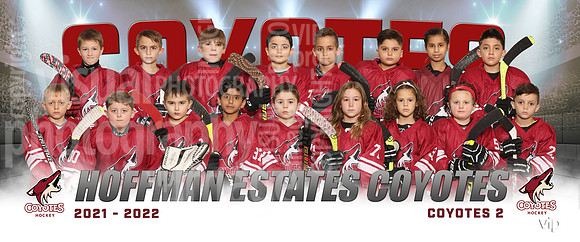 coyotes2