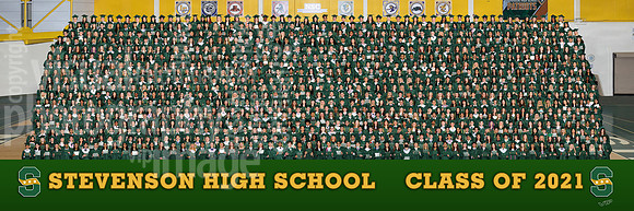 stevenson_2021