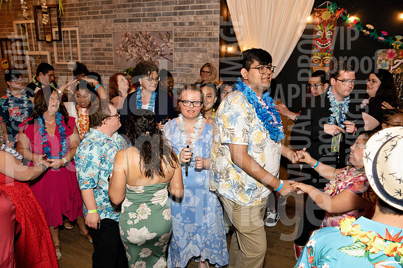 sps_0063_1036801229