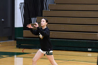sps_8295_1011797426
