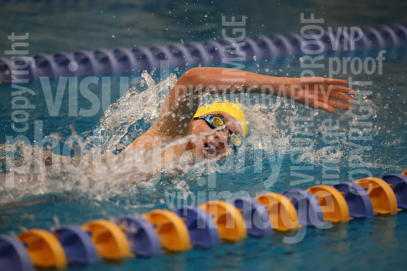 sps_0045_1011878171