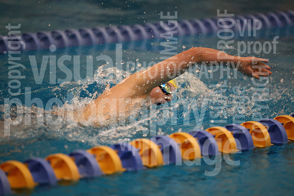 sps_0046_1011878172