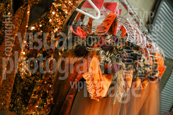 sps_0010_1011753455