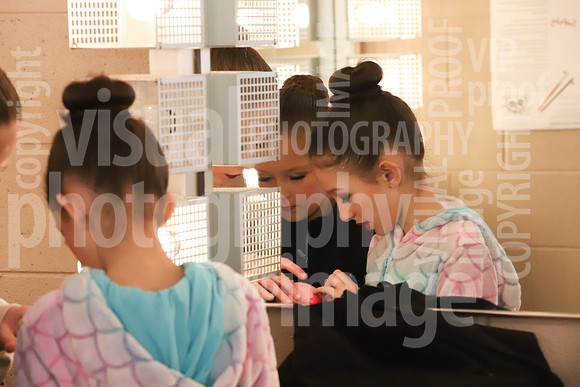 sps_0001_1011753446