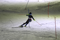 sps_0011_1008223122