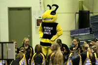 Girls Gymnastics