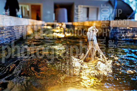 sps_0012_1036884517